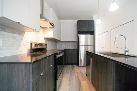 Appartement à louer - Montréal (Le Plateau-Mont-Royal) (Mile-End) - Photo 3
