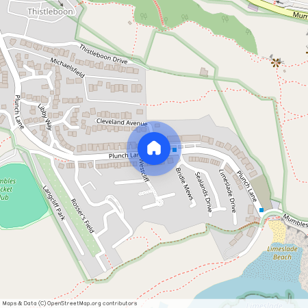Plunch Lane, Mumbles SA3