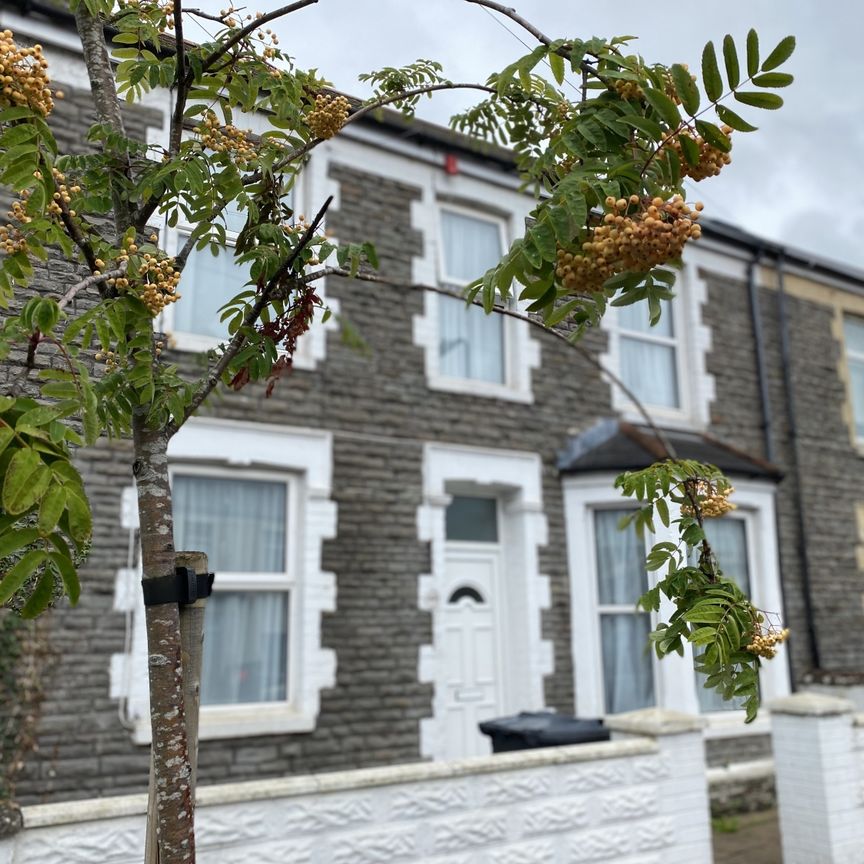 Llantrisant Street, Cathays - Photo 1