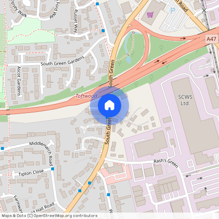 South Green, Dereham, NR19