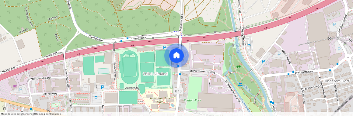 Thurstrasse 37, 8500 Frauenfeld