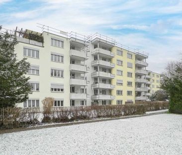 Your newly renovated 3.5-room apartment - Photo 2