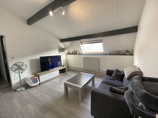 Location Appartement 2 pièces 44m² REMIREMONT 88200 - Photo 1