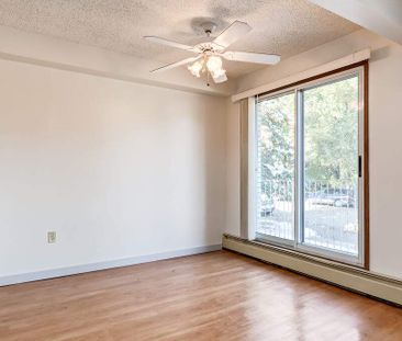 Renovated Suite - 1 Bedroom - Photo 2