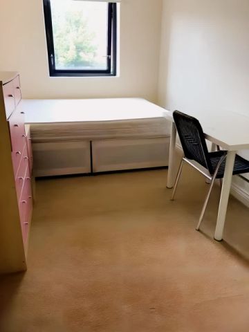3 Bed 2 Bath - Photo 3