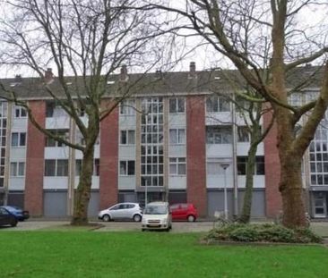 Grote Ruwenberg, 1083 BS Amsterdam, Nederland - Foto 4