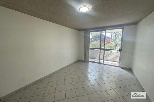 RENOVATED UNIT WITH PARK VIEWS ! - Photo 1
