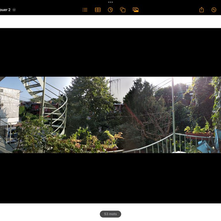 Sympathique 4 1/2 Dans Villeray - Photo 1