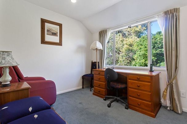 Charming 4BR Hillsborough Haven - Photo 1