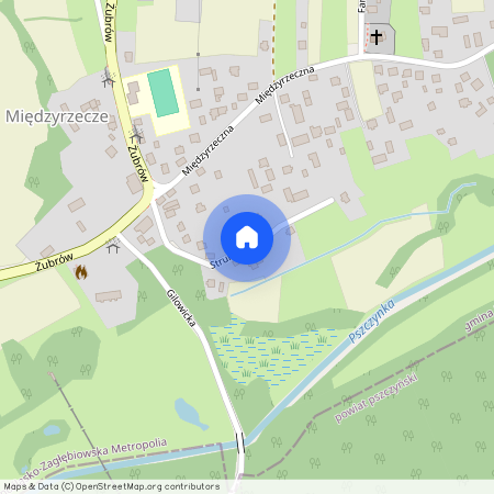 ul. Strumykowa, Międzyrzecze, Bojszowy, bieruńsko-lędziński, śląskie