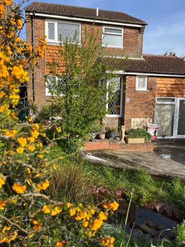 2 Bed Detached House, Shenfield Way, BN1 - Photo 5