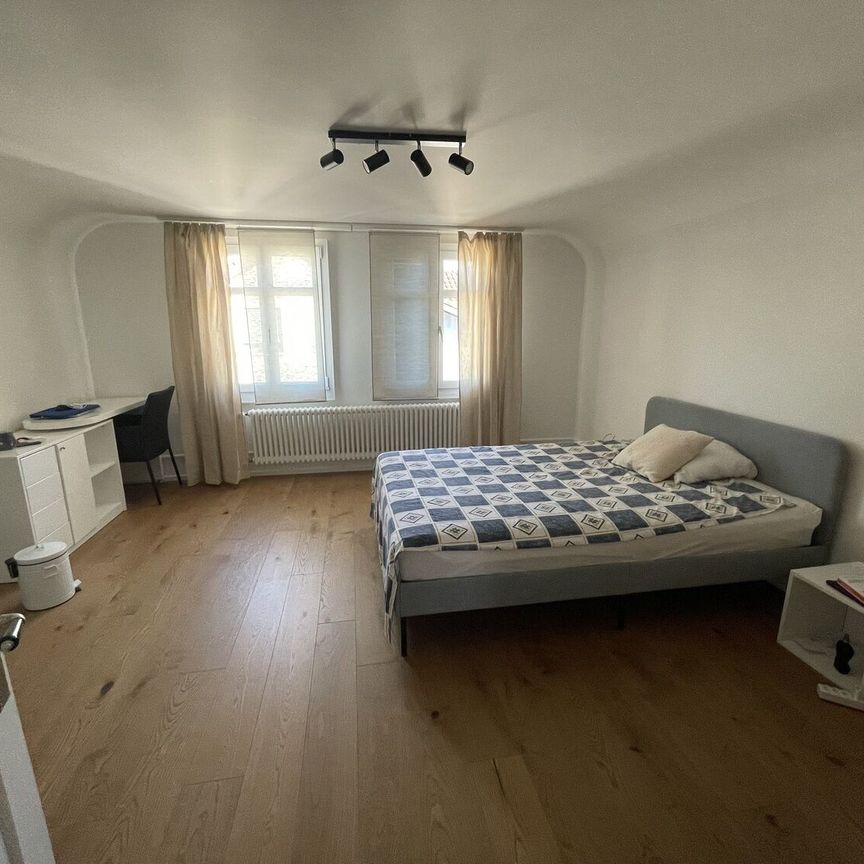 APPARTEMENT MANSARDÉ DE 4 PIÈCES À LUTERBACH (SO), MEUBLÉ, TEMPORAIRE - Photo 1