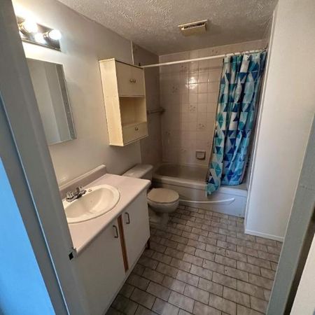 GRAND ET LUMINEUX 4.5 DISPONIBLE 15 NOVEMBRE - Photo 3