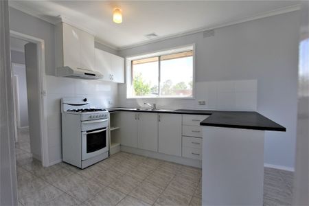 Newly Renovated - Photo 2