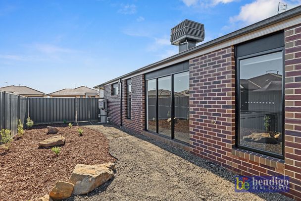 Modern Home in Huntly - Photo 1