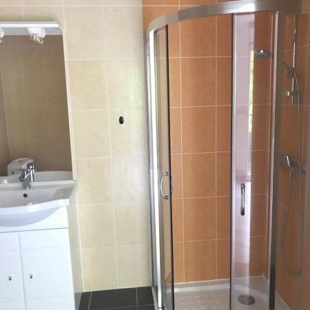 Location Appartement 1 pièce 22m² NANTES 44300 - Photo 3