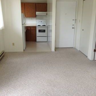 Bachelor Apartment for Rent Near Downtown Victoria - Photo 1