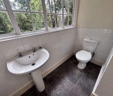 1 bedroom detached house to rent - Photo 4