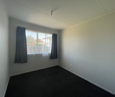 Diaz Drive, Flaxmere - Photo 3