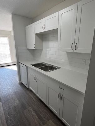 FULLY RENOVATED TWO BEDROOM ~ SMALL PET FRIENDLY! - Photo 1