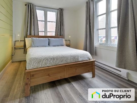 1-396 rue St-Vallier Ouest, Saint-Sauveur à louer - Photo 1