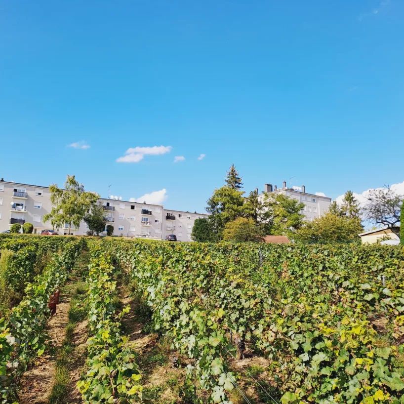 Location appartement T3 64.00m² à Sezanne (51120) - Photo 2