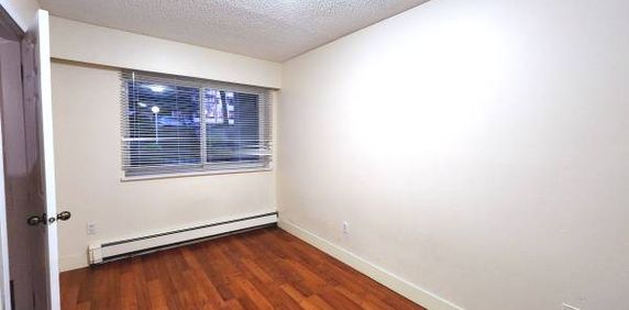 New Westminster 1 bedroom apartment available on February 1st - Photo 2