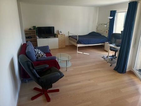 Appartement lumineux près de la ville avec coin salon de jardin ensoleillé à louer - Photo 3