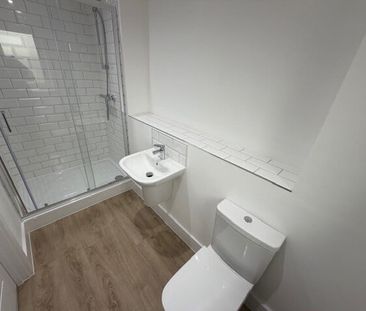 Wagtail Road - Photo 6