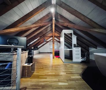 Exklusive 3.5-Zimmer-Maisonette-Attikawohnung an ruhiger Lage in Li... - Photo 2