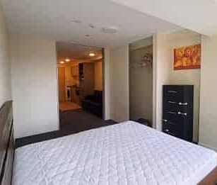 Central Auckland 1BR fully furnished - Photo 1