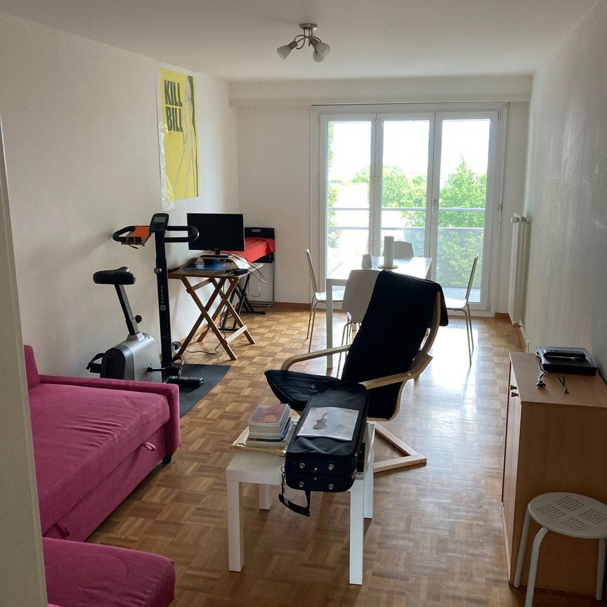 Joli appartement à Rolle avec vue sur le Léman - Photo 1
