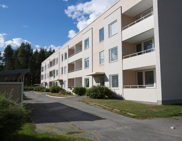 Dirigentvägen, Skellefteå - Photo 1
