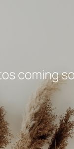 23 Fairway Drive, South Grafton NSW 2460 - House For Rent | Domain - Photo 3