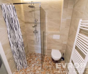 Pronájem bytu 1+1 30 m², Vševily - Fotografie 6