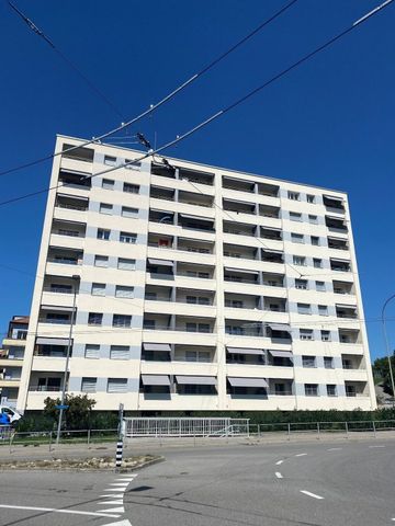 Appartement de 3 pièces à louer à Fribourg - Photo 3
