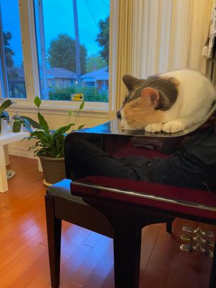 For Lease - 22 Princeway Drive Unit# Uper level, Toronto, Ontario - Photo 1