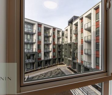 20360 Logan Avenue apartment — Langley, BC (1-Bedroom) - 1 Bedroom - Photo 4
