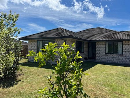 Large family home on full section - Katikati - Photo 5