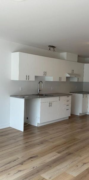 41/2 disponible 1er novembre à Mont-Blanc - Photo 1