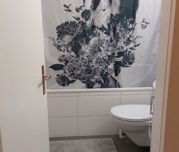 2.5 Zimmer, 52 m², 5. Stock - Foto 5