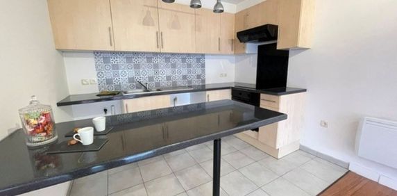 Location Appartement 2 pièces 55m² - Photo 2