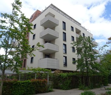 Location Appartement 2 pièces 43m² ORLEANS 45000 - Photo 6