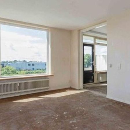 Cederstraat, 2404 Alphen aan den Rijn, Nederland - Foto 3