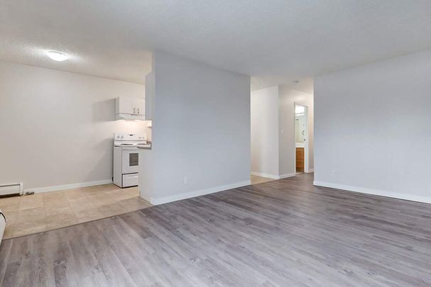1 Bedroom - Photo 1