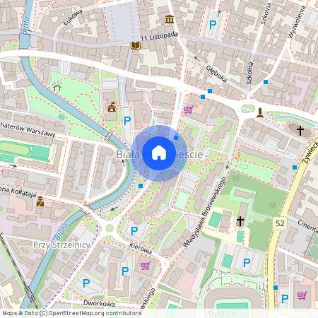 ul. Romana Dmowskiego, Biała Śródmieście, Bielsko-Biała, śląskie