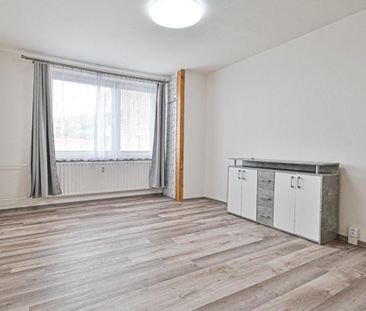 Pronájem bytu 1+kk 30 m2 - Photo 5