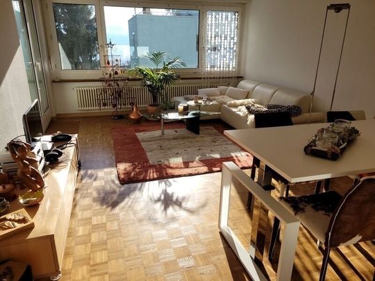 3-ROOM APARTMENT IN STÄFA (ZH), FURNISHED, TEMPORARY - Foto 1