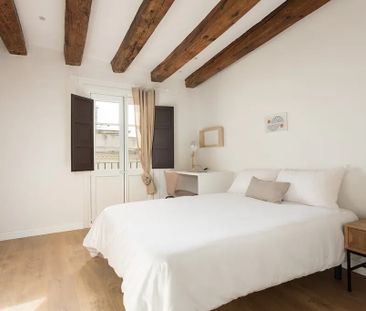 Carrer del Rec Comtal, Barcelona, Catalonia 08003 - Photo 4