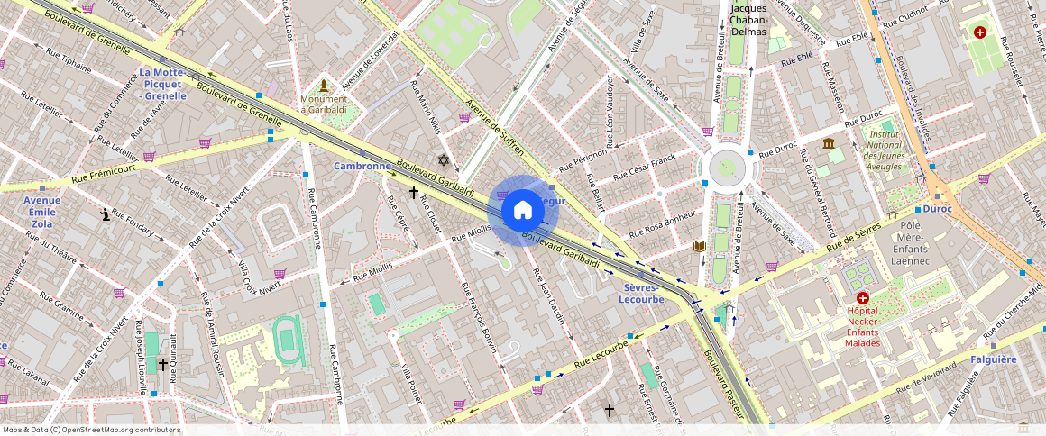 Boulevard Garibaldi, 75015, Paris